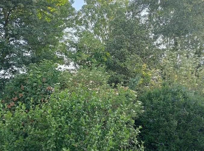 Tiny House Aqualinde * Μπρέντα