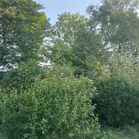 Tiny House Aqualinde * Breda